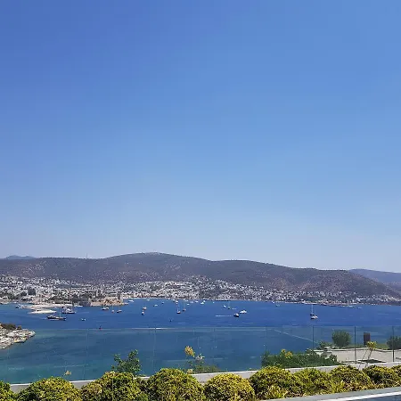 Rebis * Bodrum